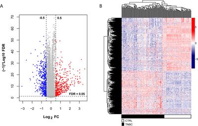 Prognostic Biomarkers on a Competitive Endogenous RNA Network Reveals Overall Survival in Triple-Negative Breast Cancer